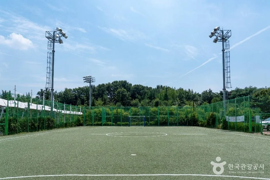 평택_안중레포츠공원 (5)
