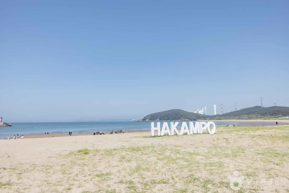 학암포해수욕장 (3)