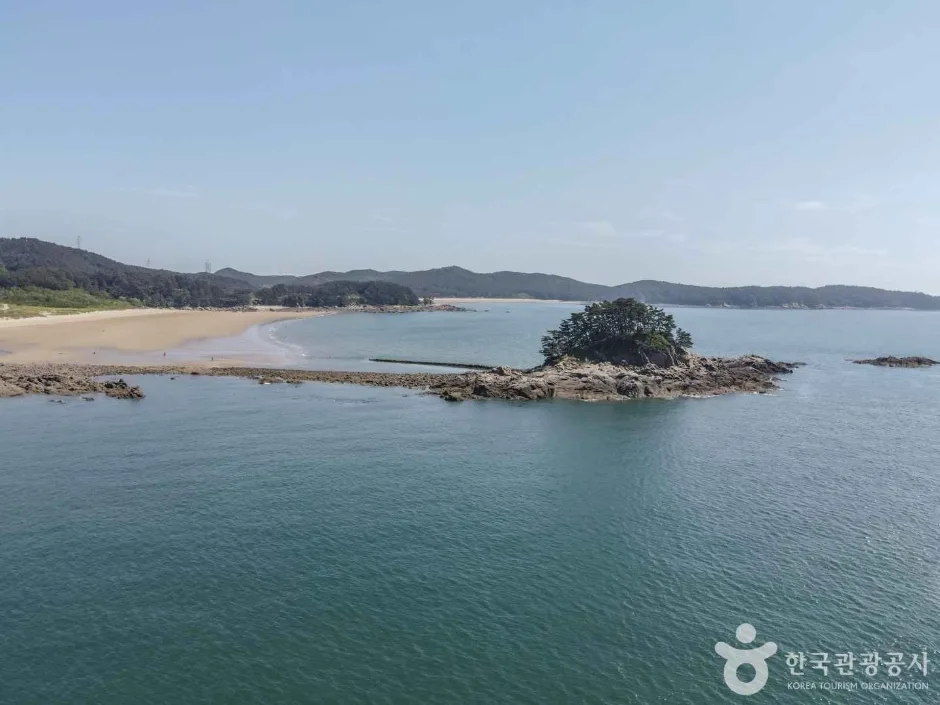 학암포해수욕장 (14)