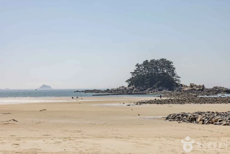 학암포해수욕장 (13)