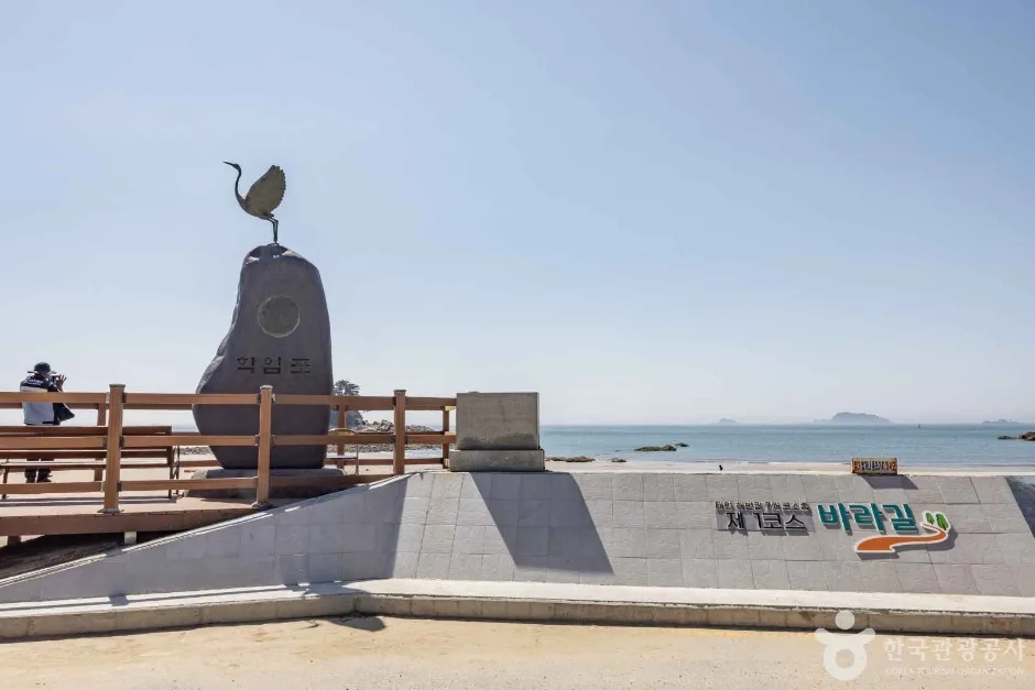 학암포해수욕장 (11)