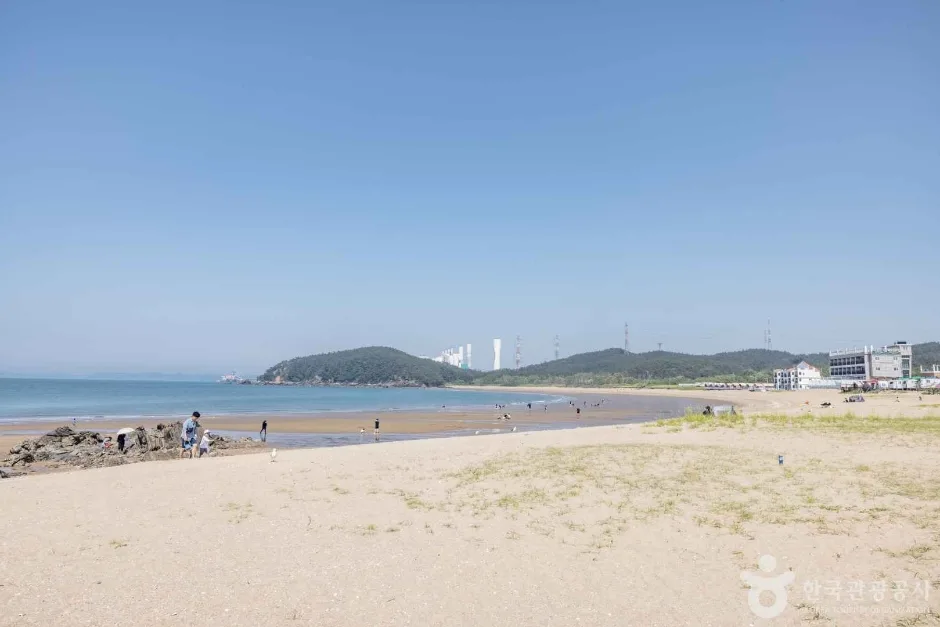 학암포해수욕장 (4)