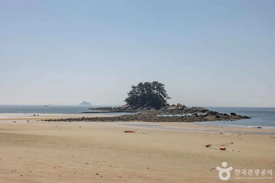 학암포해수욕장 (7)