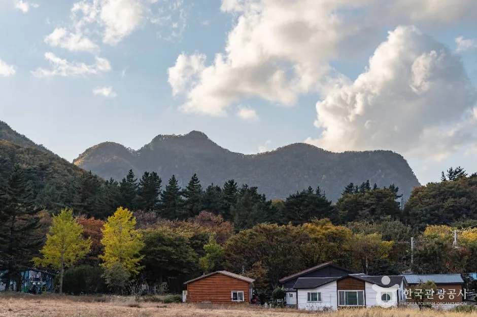 울릉_알봉 (울릉도, 독도 국가지질공원) (1)