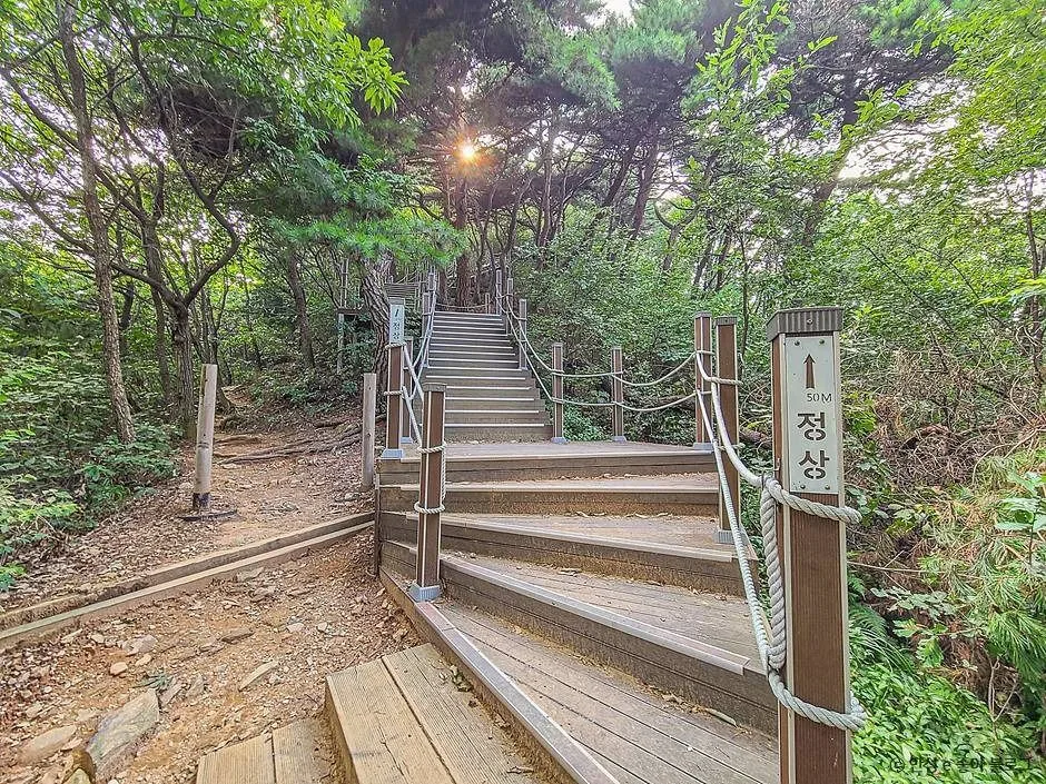 안성_고성산 (8)