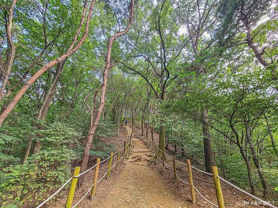 안성_고성산 (2)