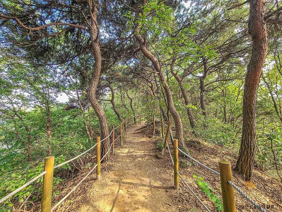 안성_고성산 (7)
