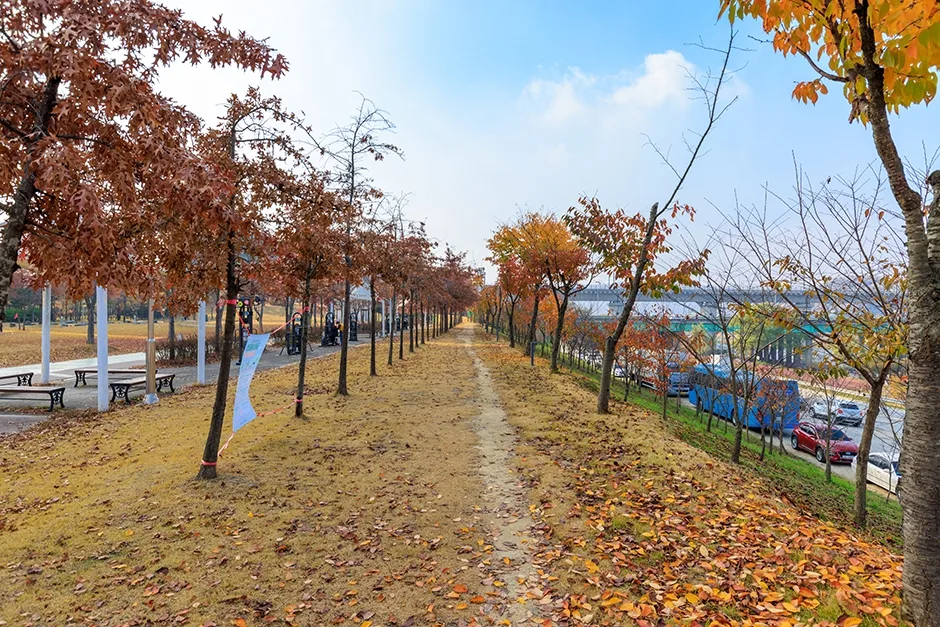 대전_대덕구_금강로하스산호빛공원 (5).jpg