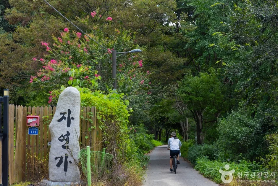 바람쐬는길 (1)