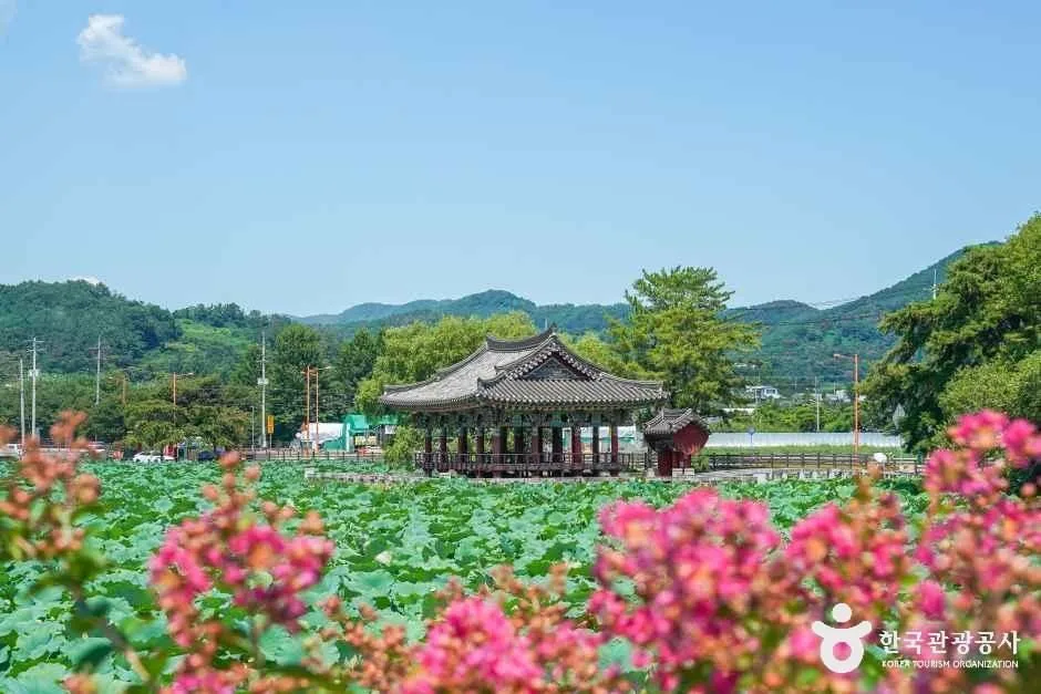 유등연지