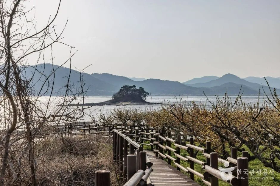 와온공원 (10)