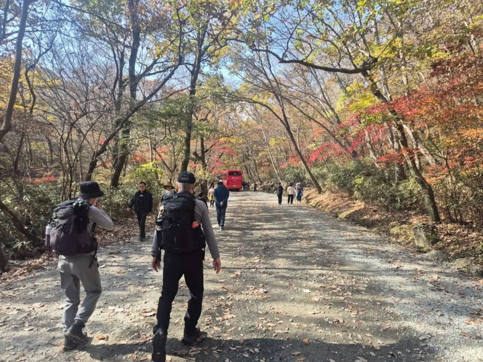 241116_순천_선암사계곡_화장실 (1)