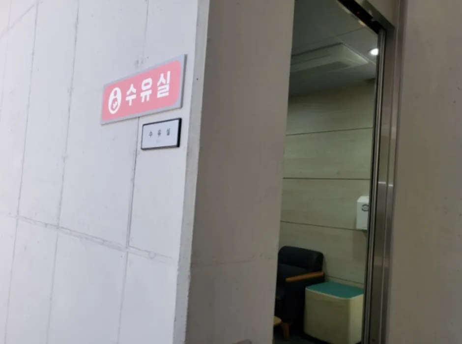 241116_순천_선암사계곡_임도길