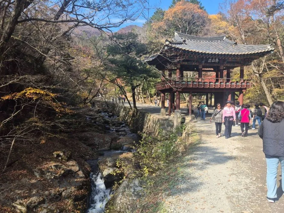 241116_순천_선암사계곡_진입로 (1)