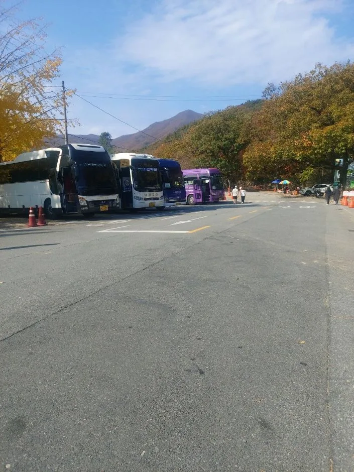 241116_순천_선암사계곡_진입로 (3)