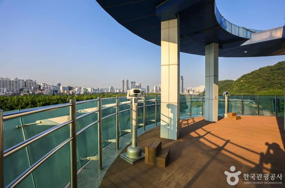 태화강 전망대 (6)