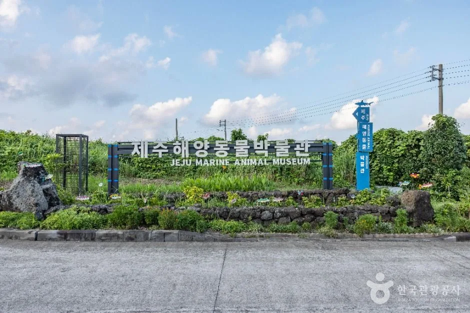 제주_제주해양동물박물관 (36)