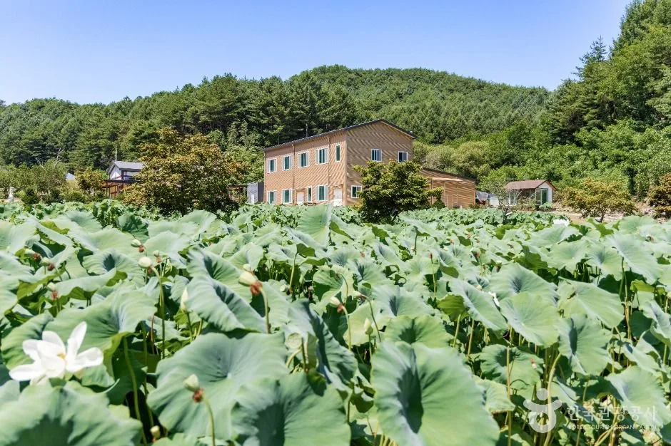봉화_봉화산사 (4)