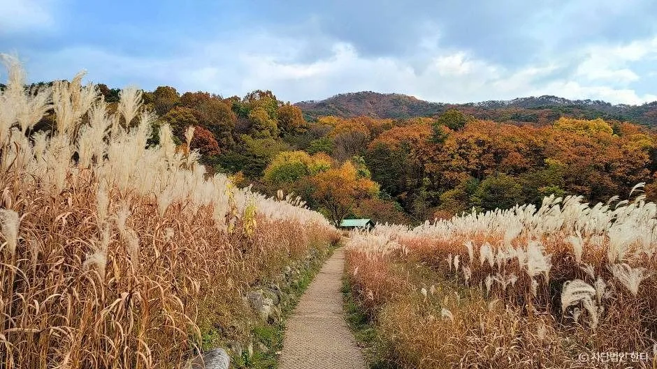 한티순교성지 (3)