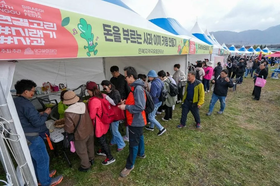 2025 청춘양구 펀치볼 시래기사과축제 4