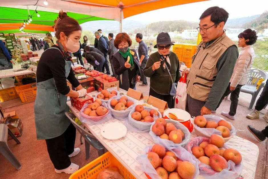 2025 청춘양구 펀치볼 시래기사과축제 3