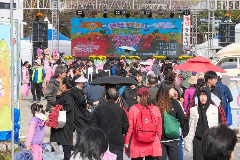 2025 청춘양구 펀치볼 시래기사과축제 8