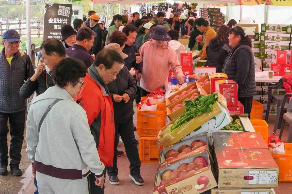 2025 청춘양구 펀치볼 시래기사과축제 7