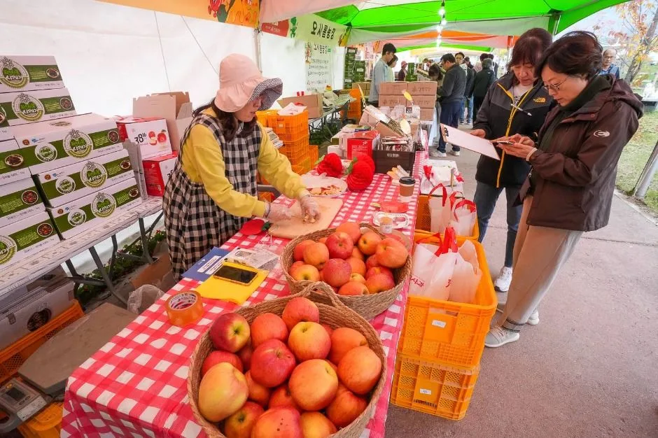 2025 청춘양구 펀치볼 시래기사과축제 10
