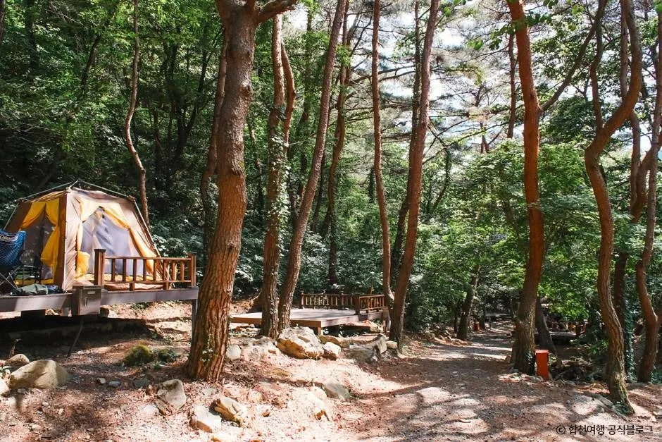 합천_오도산자연휴양림 (2)