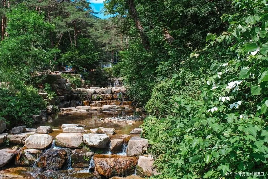 합천_오도산자연휴양림 (4)