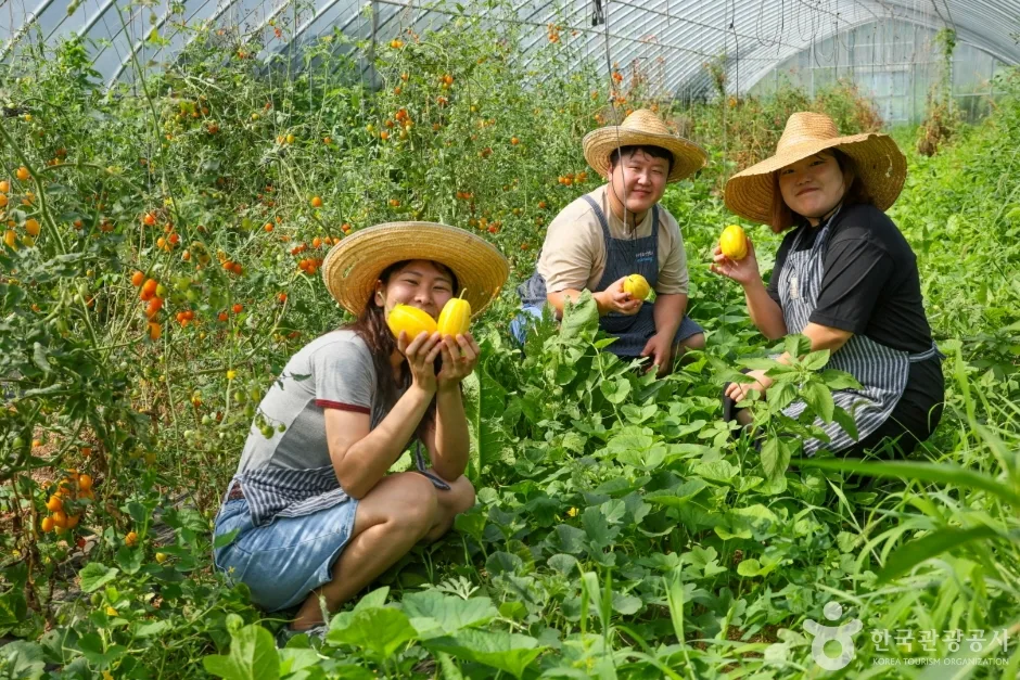 관광두레 주민사업체 경상북도 포항 포항체험잇다 4