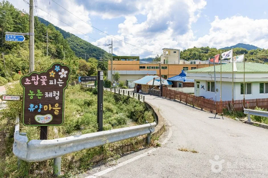 금산_조팝꽃피는마을 (3)