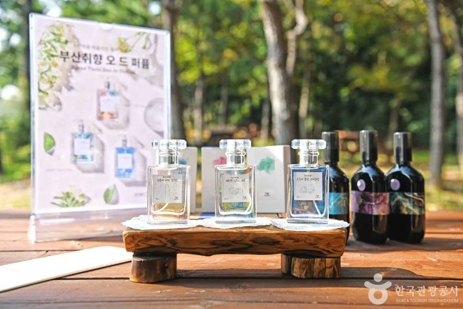 2024 관광두레 11월기사 부산 주식회사 그런고로 1
