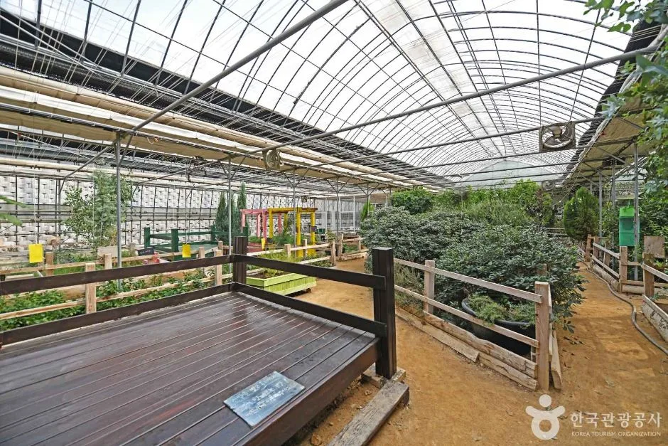 경기_화성_원평허브농원_내부_04.jpg