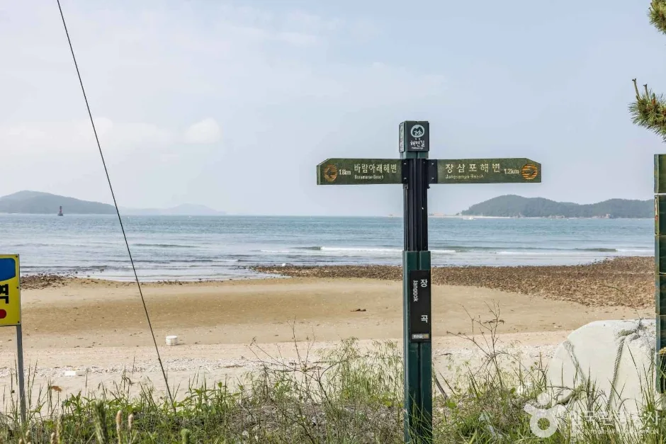 장돌해수욕장 (3)