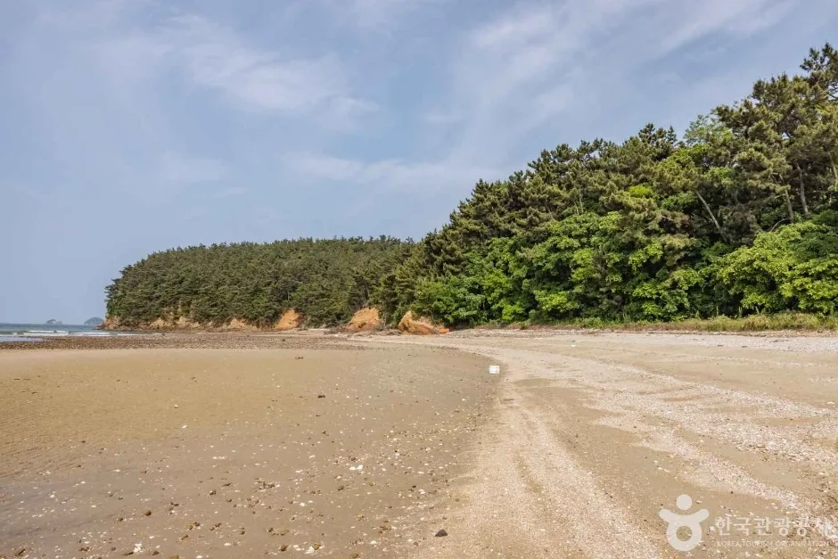 장돌해수욕장 (7)