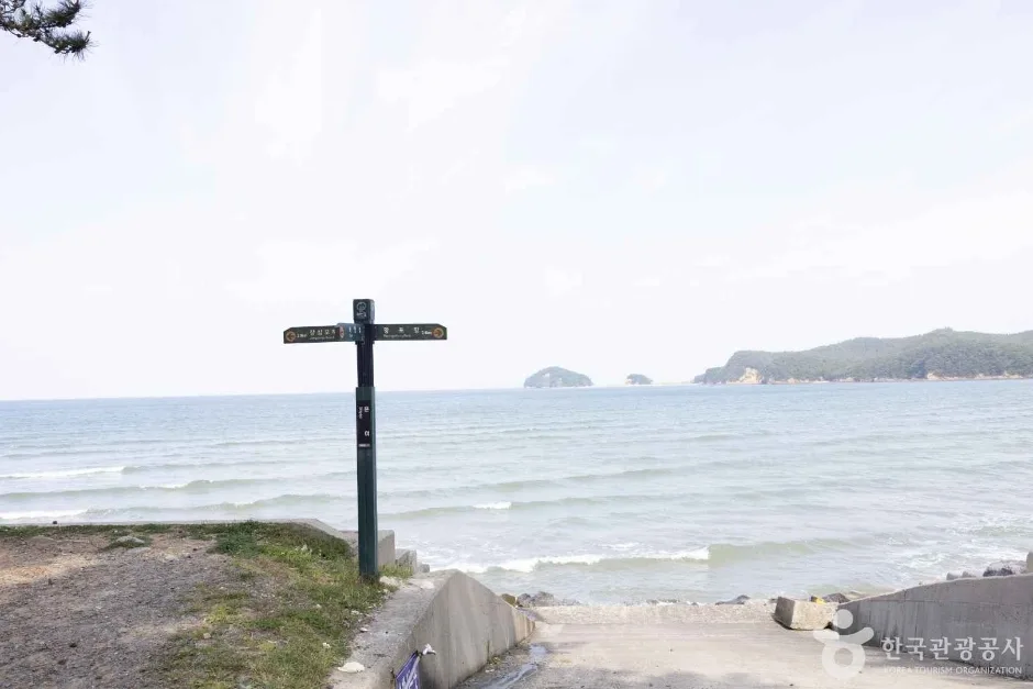 장돌해수욕장 (2)