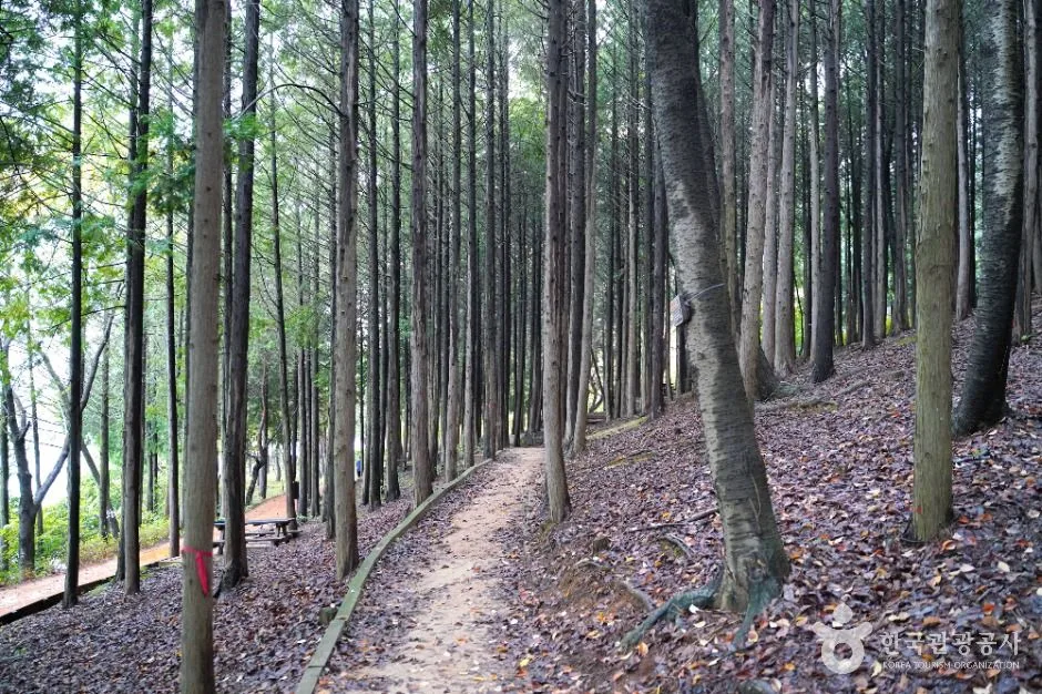 땅뫼산