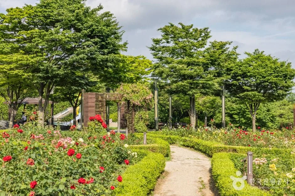 인천_장미공원 (10)