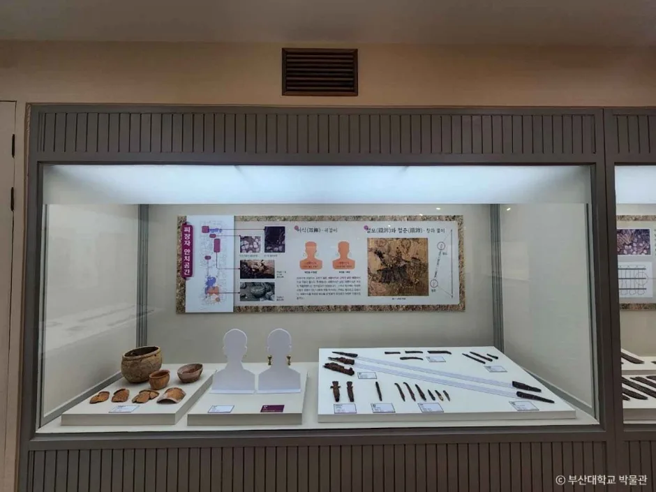 부산대학교 박물관 (4)