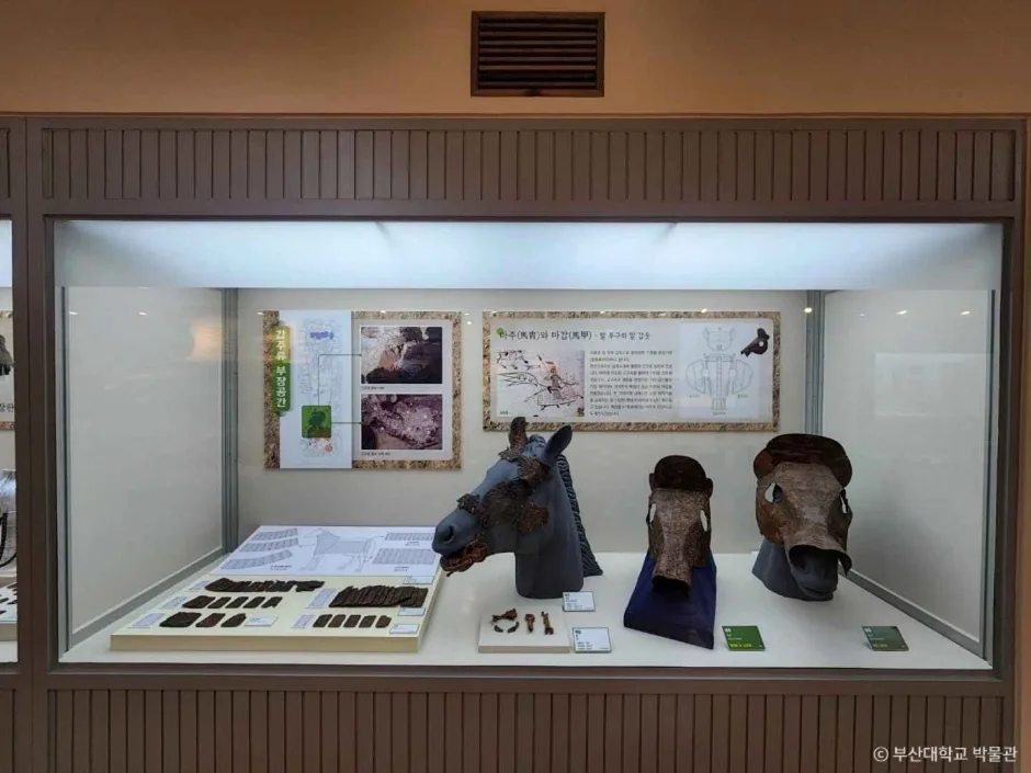 부산대학교 박물관 (3)