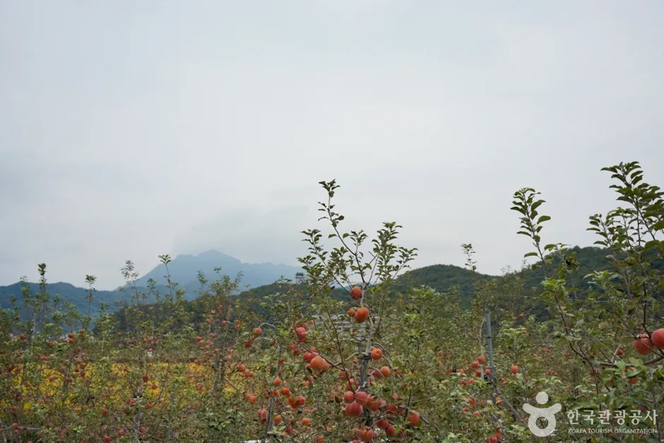 경북_문경_주흘산 (5)