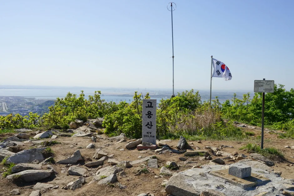 고룡산_정상1