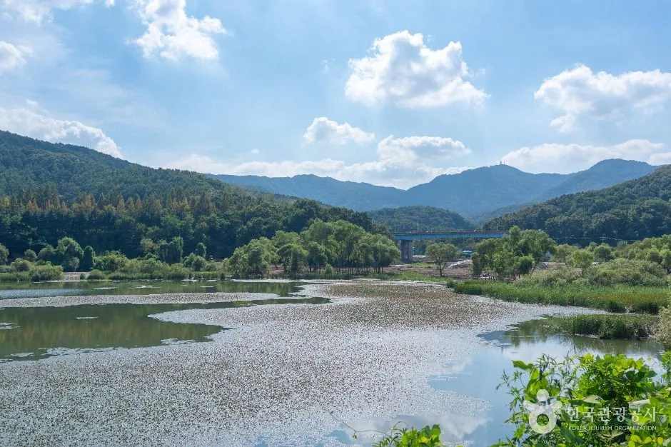 성남_대왕저수지 (3)