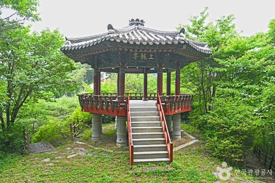 도마령 (6)