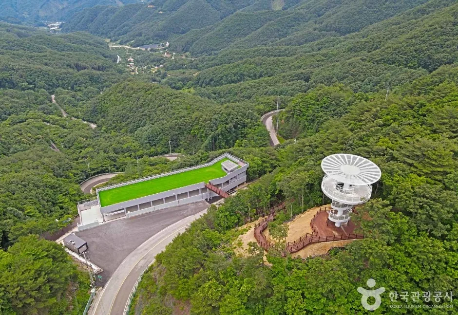 도마령 (3)