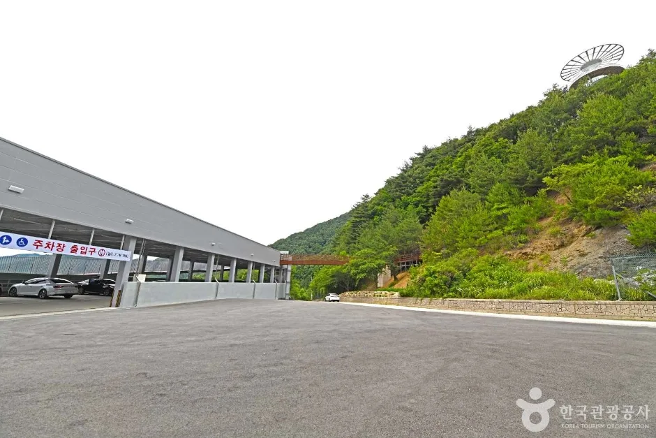 도마령 (7)