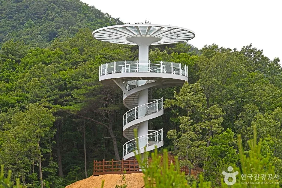 도마령 (4)