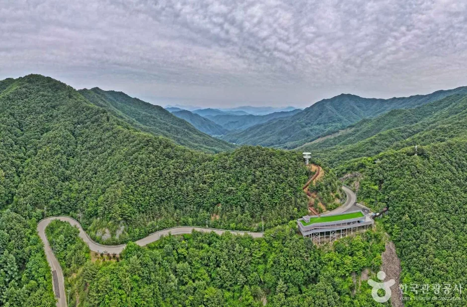 도마령 (5)