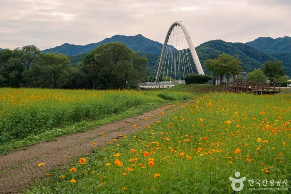 물의정원